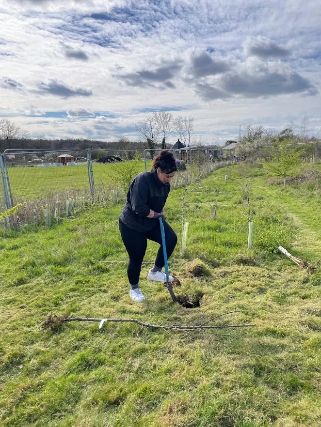 tree planting in orchard.jpg