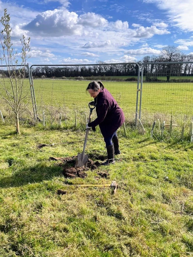 planting trees in Warwickshire.jpg