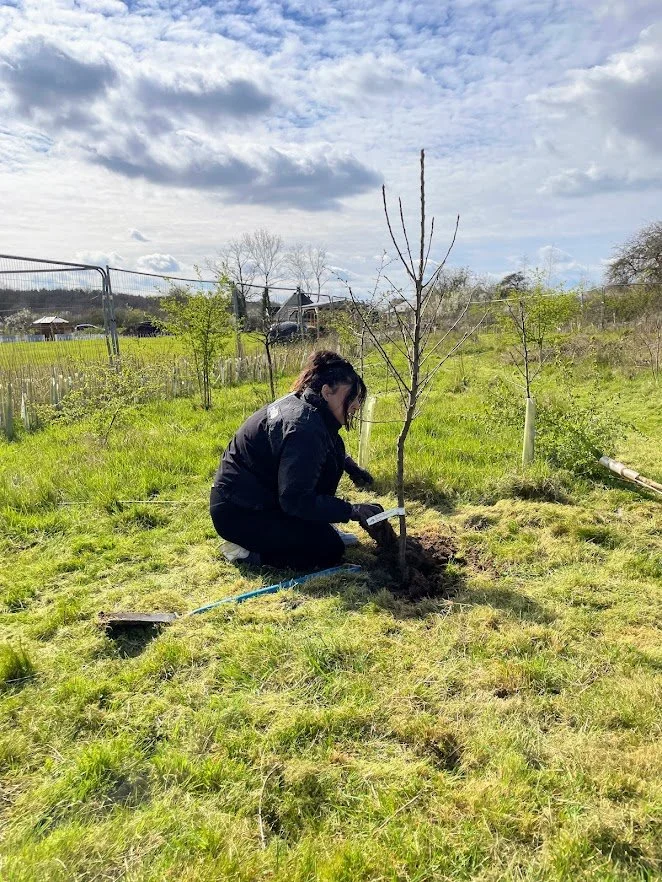 corporate team building tree planting.jpg
