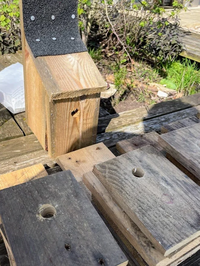 bird box from pallet wood.jpg
