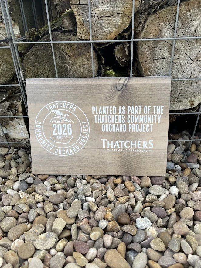 Thatchers Community Orchard Project Apple Tree Planting in Stratford-upon-Avon.jpg