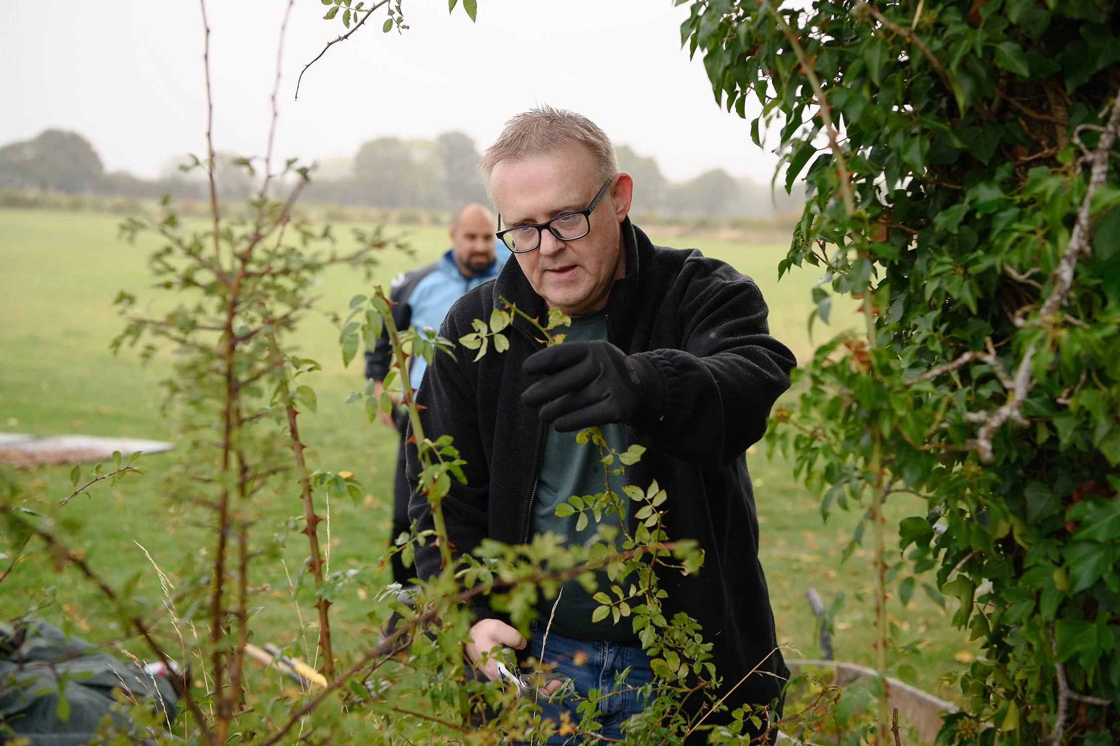 Corporate Volunteering Day with Forest of Hearts