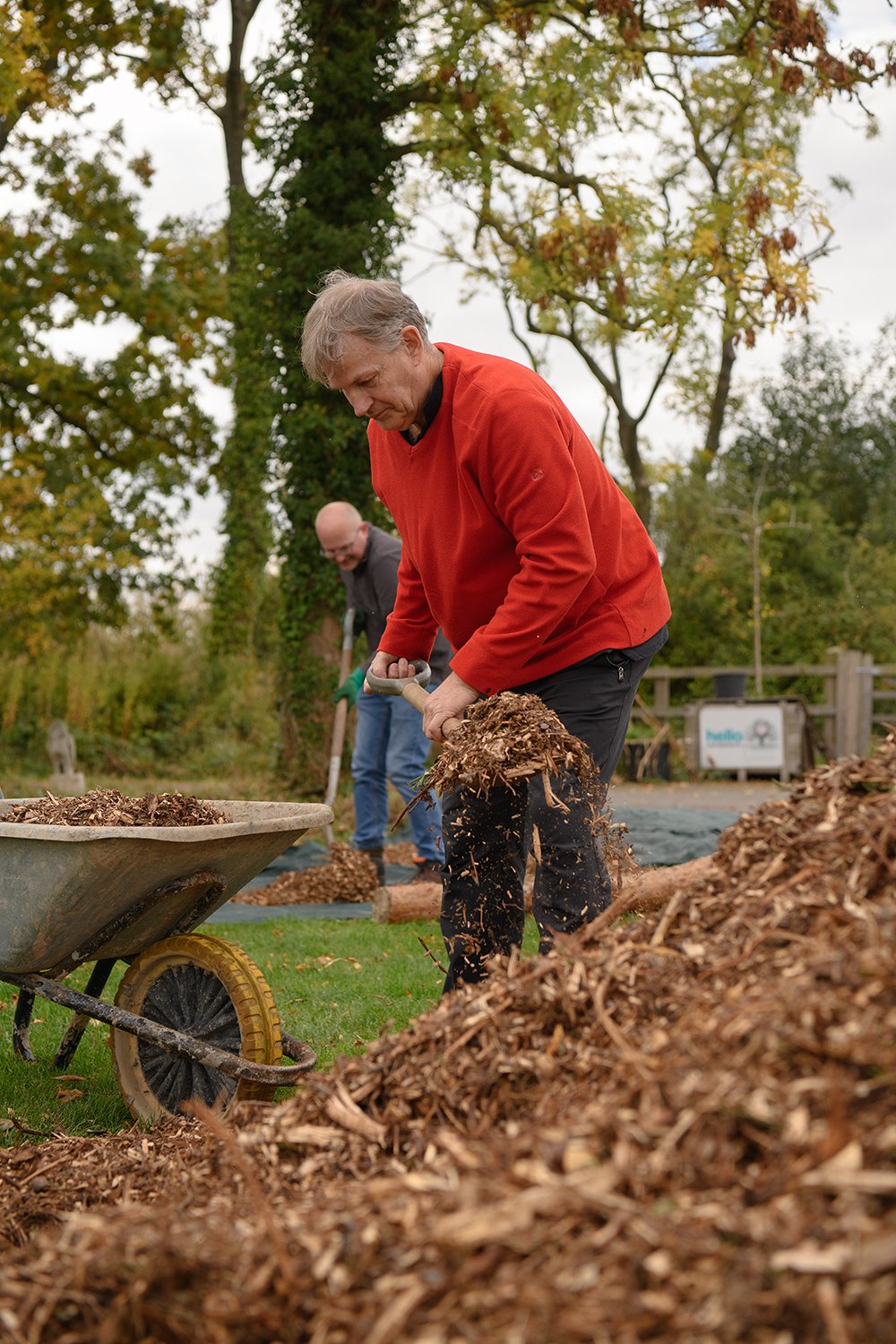 Corporate Volunteering with Forest of Hearts