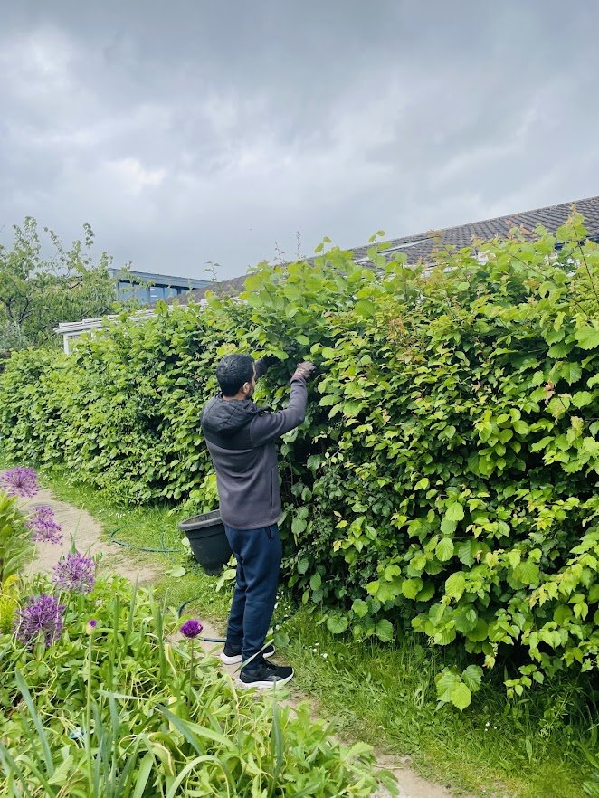 Corporate Volunteering Day with Forest of Hearts