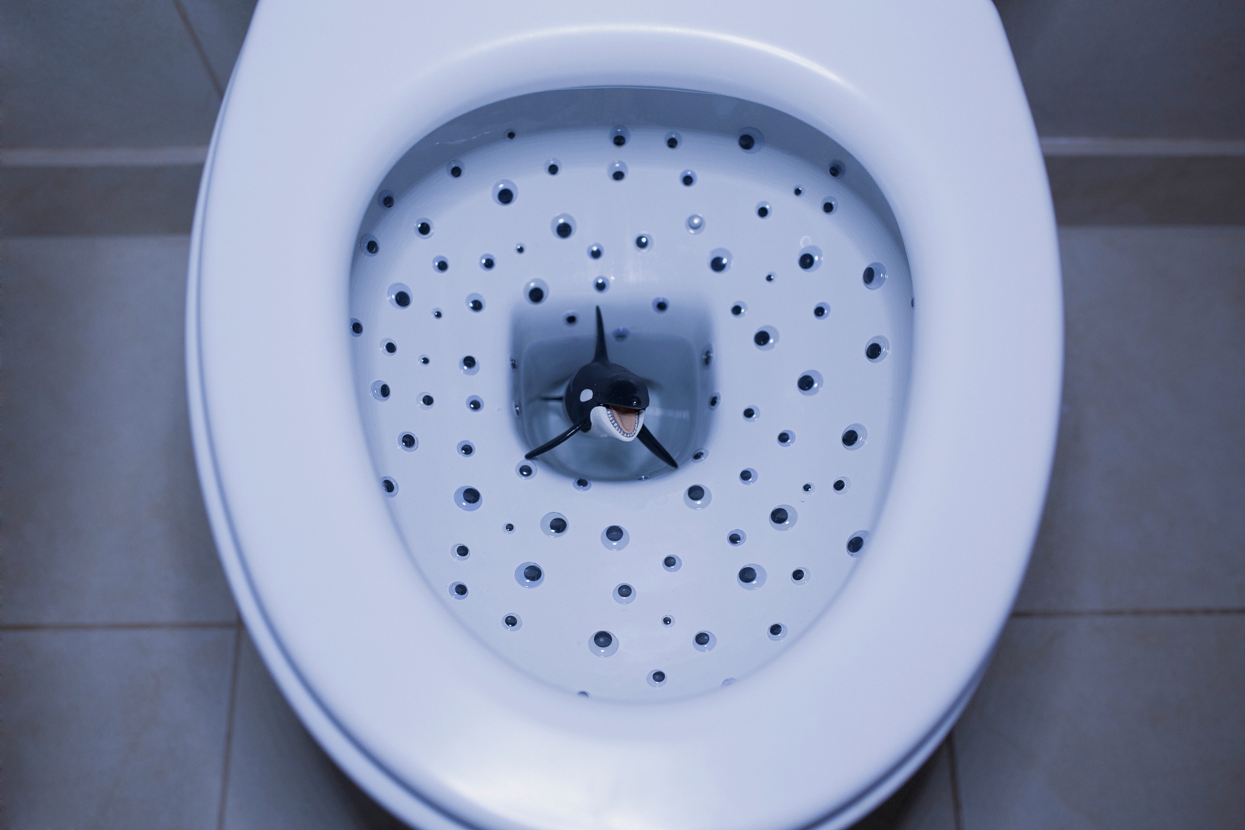 Berkin & Mika Fish 7.jpg