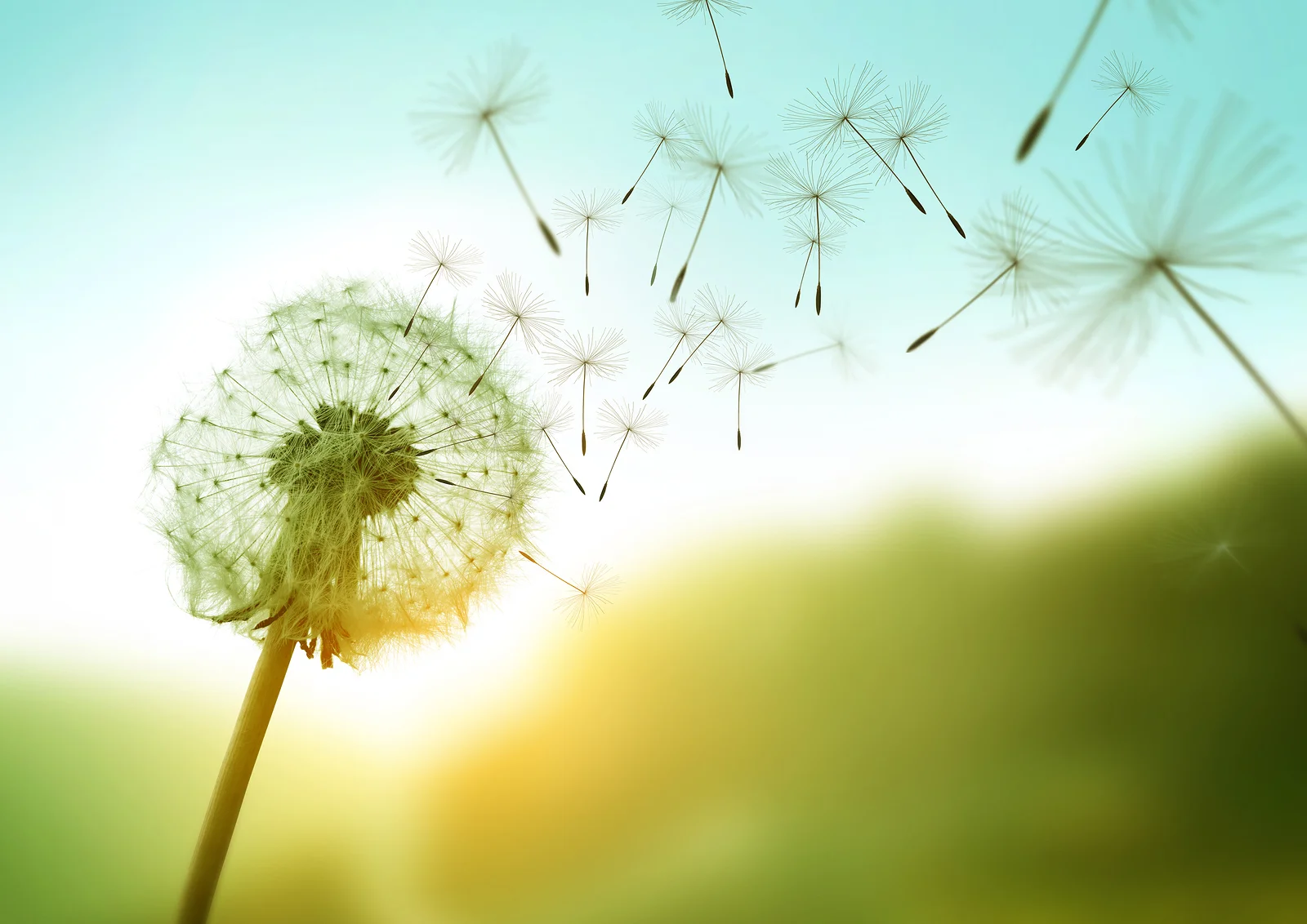 Develop a Growth Mindset