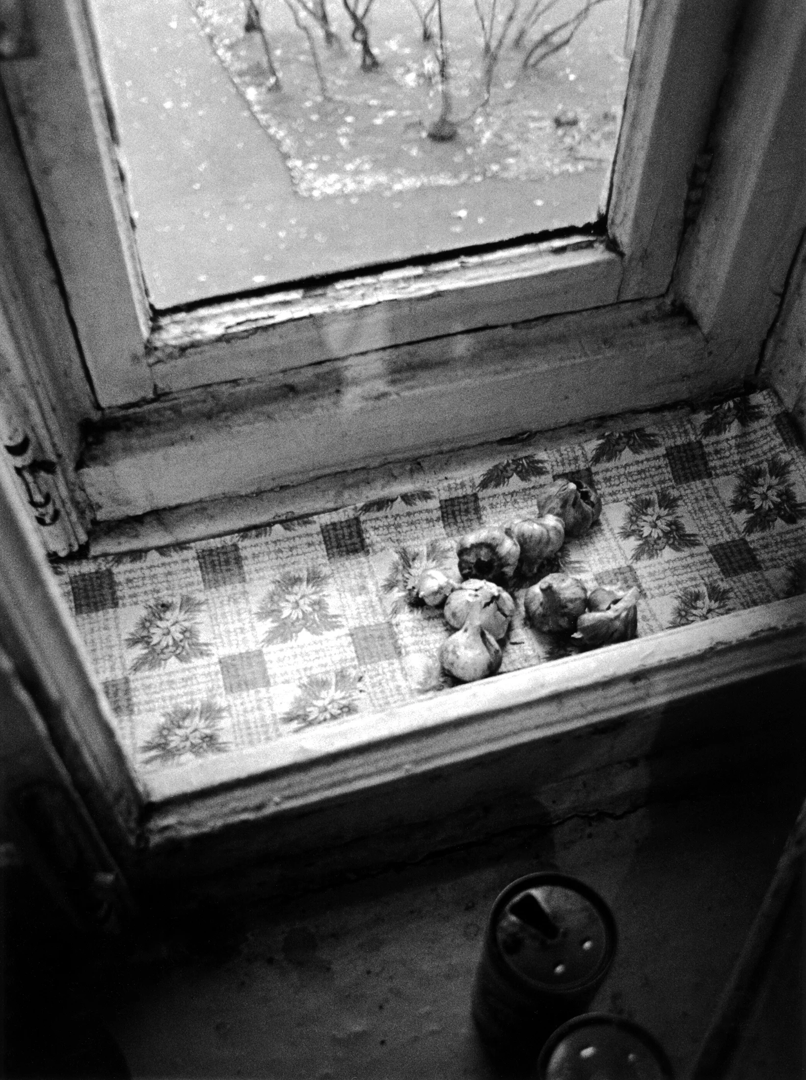 Leningrad #7