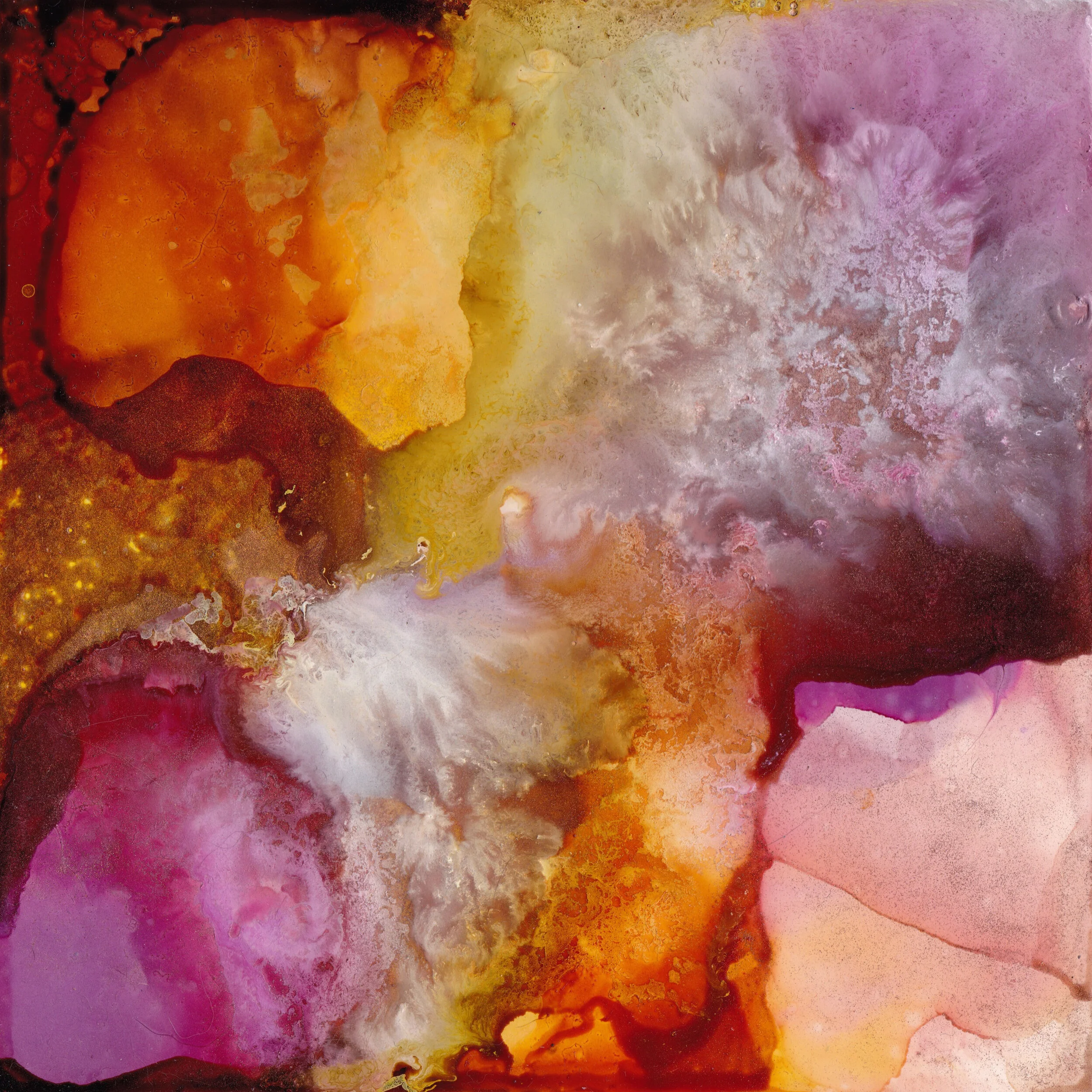 Outbreak of Peace.jpg