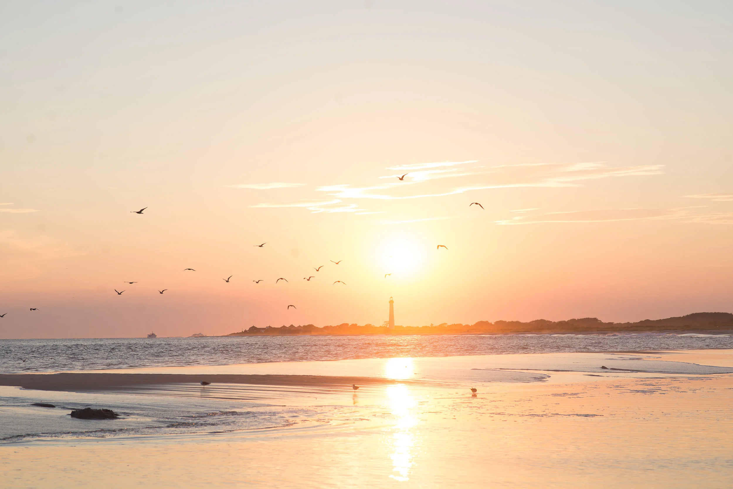 cape may 2016-1-2.jpg
