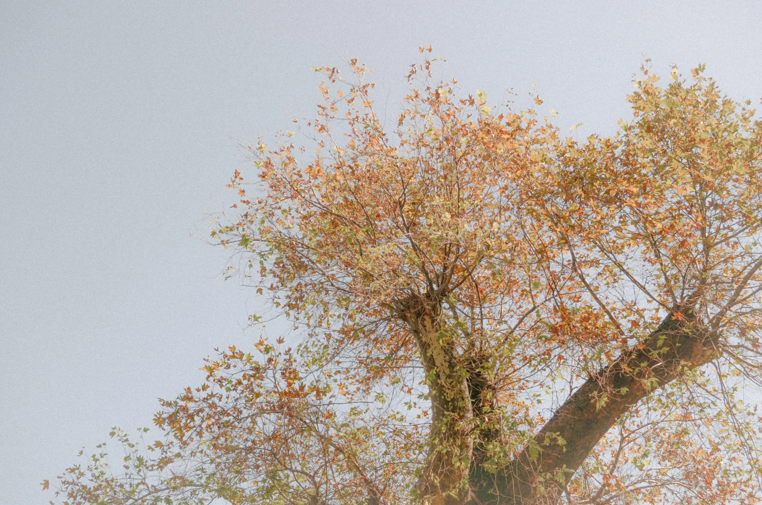 ttm_2015.jpg