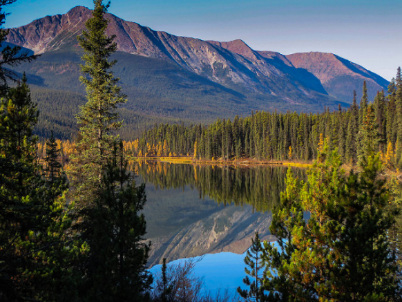 Wildlife Canada, Nahanni Range Road, Yukon