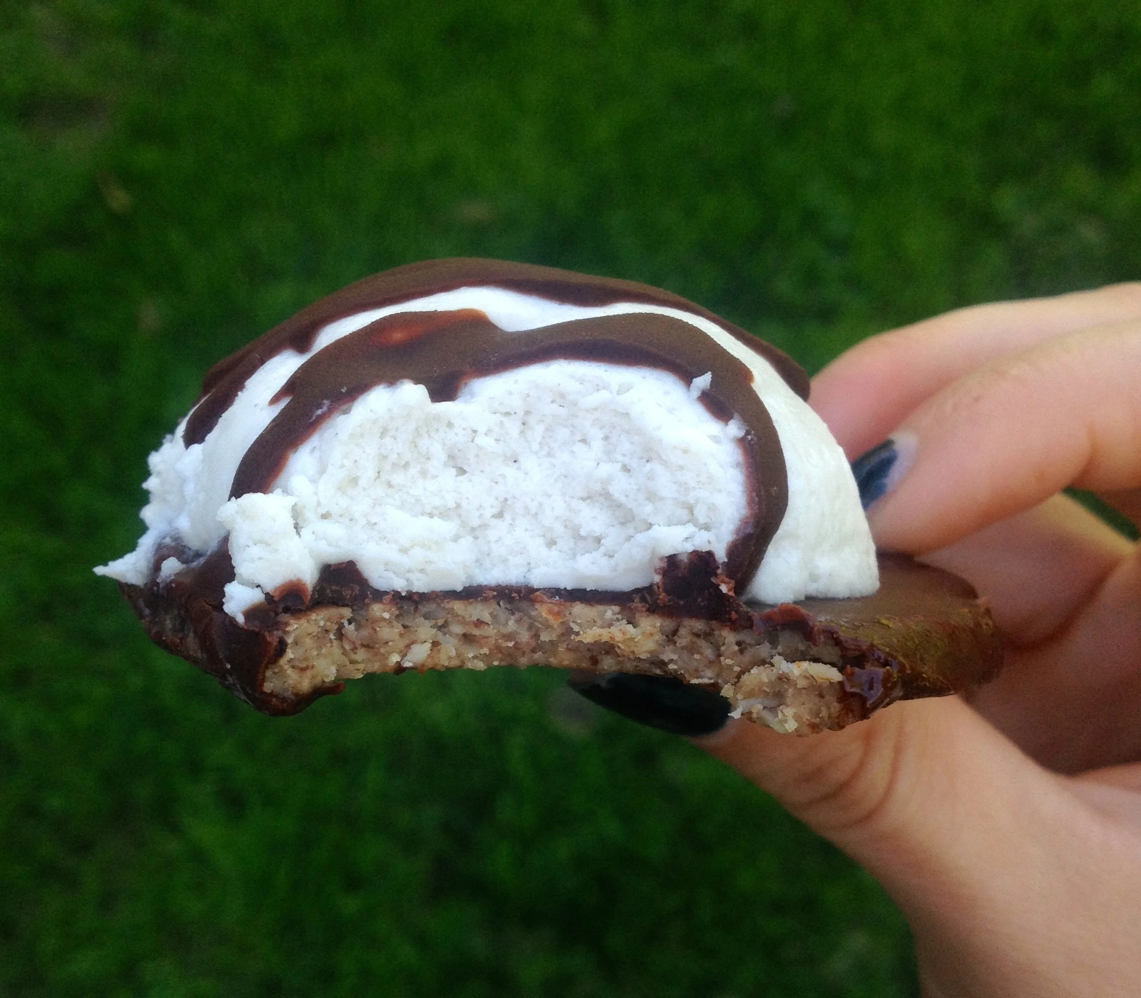 Raw Vegan Dessert Mallomar