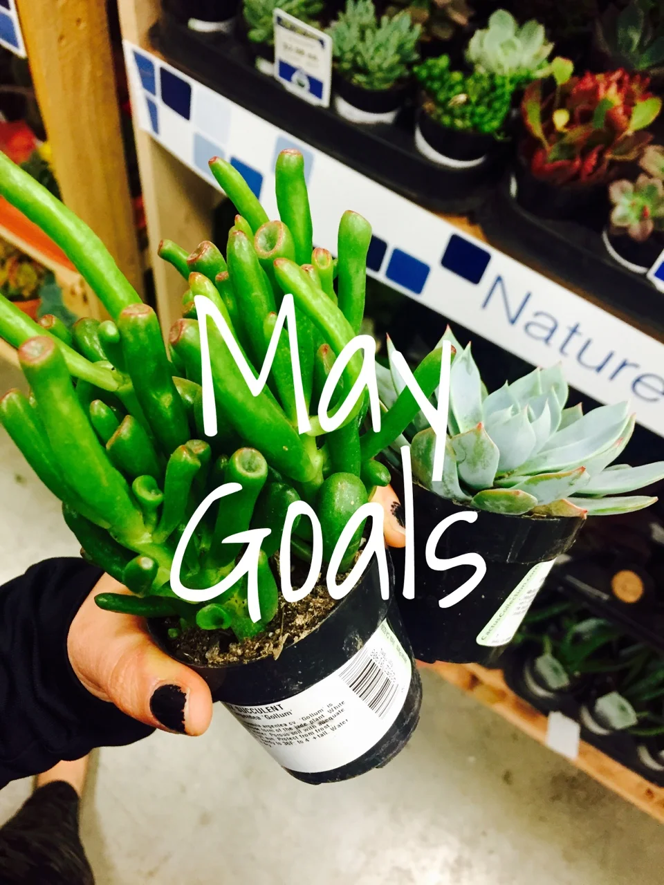 Goal Setting Monthly