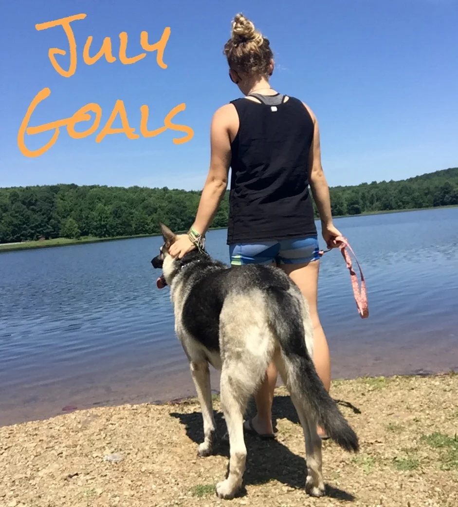 Goal Setting