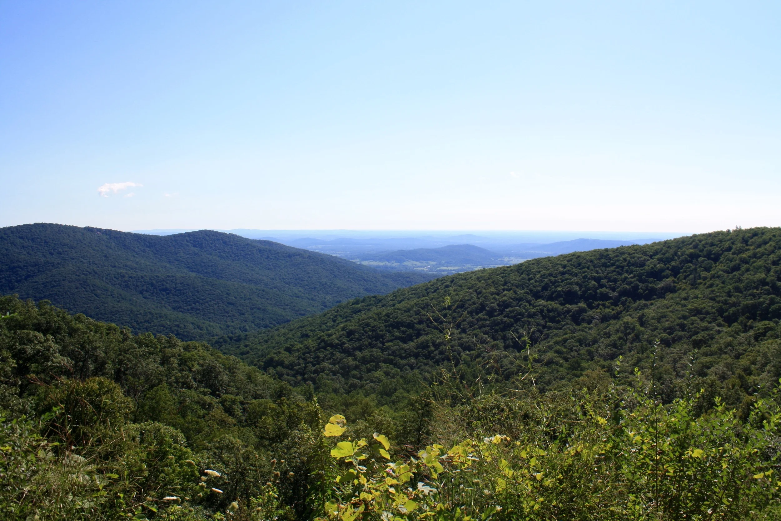 Luray, Virginia Vegan