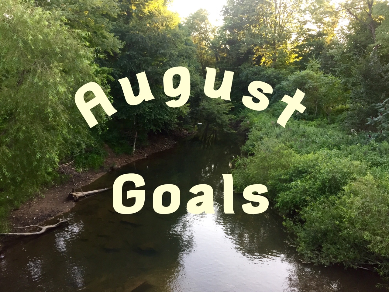 August Goals - Goal Setting