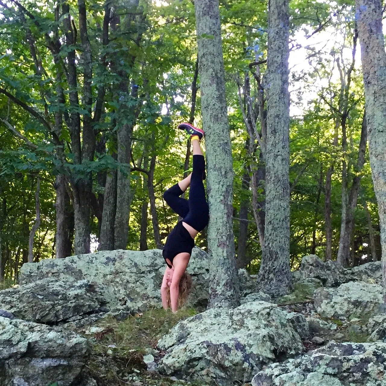 Vegan Shenandoah