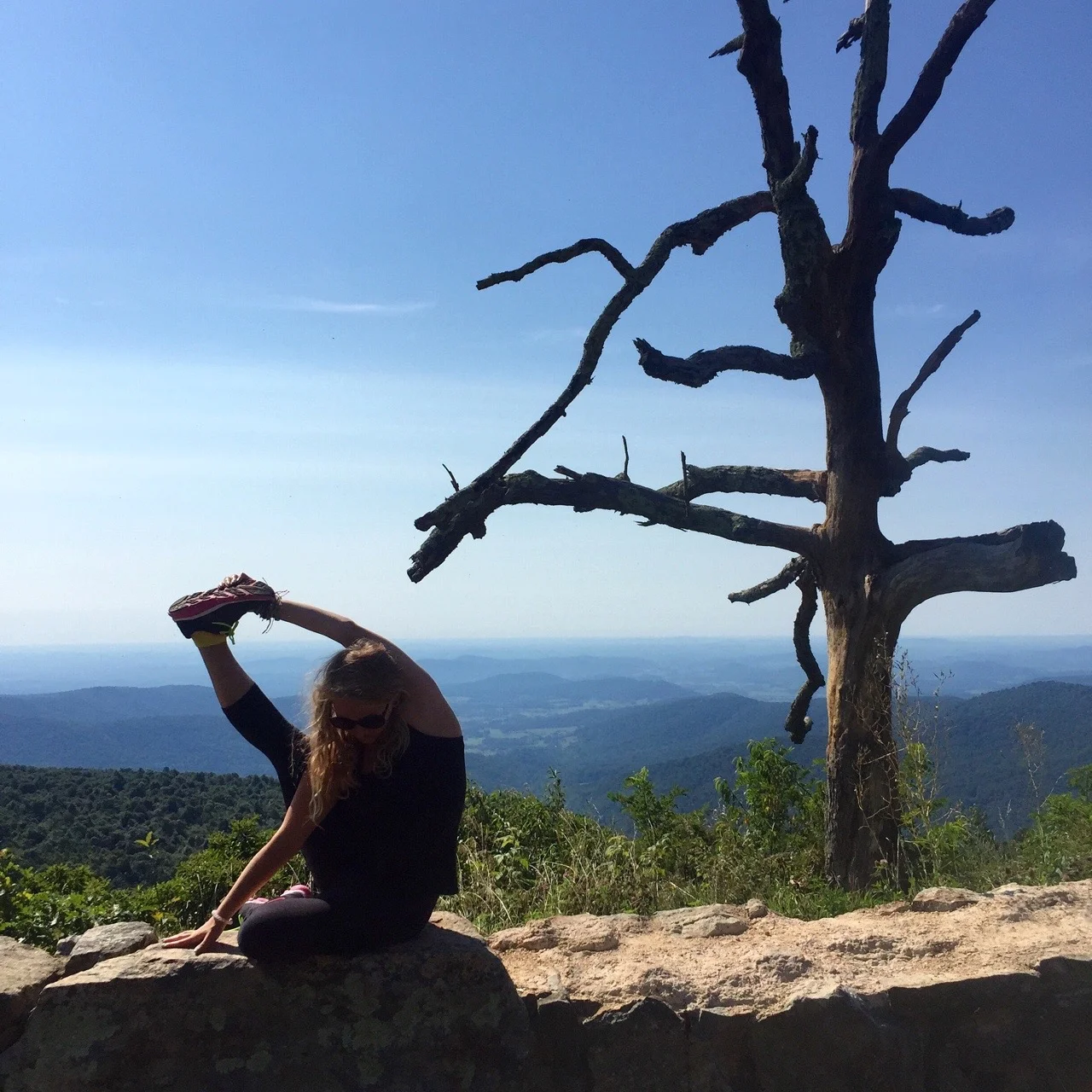 Luray Virginia Vegan