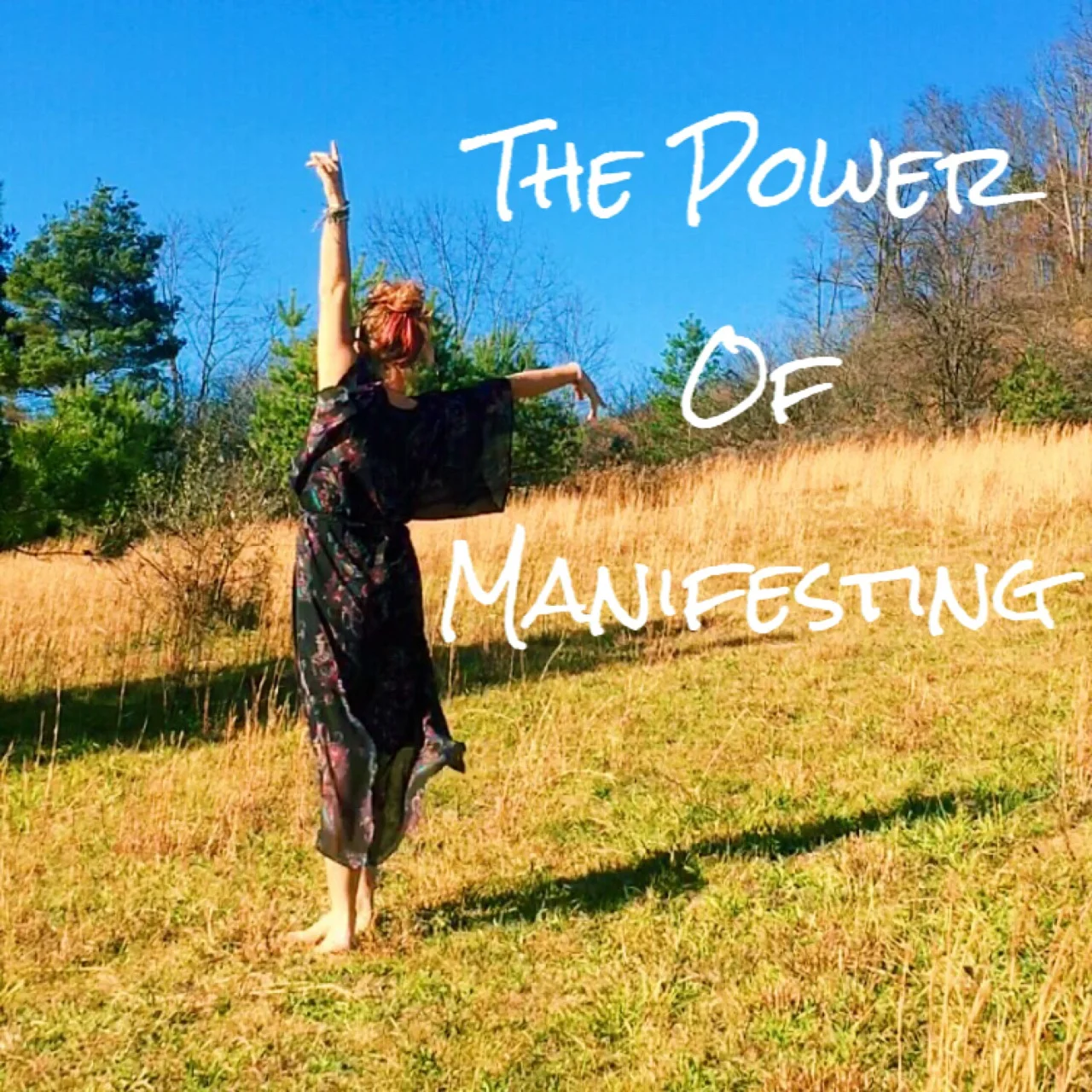 Manifesting Does Work