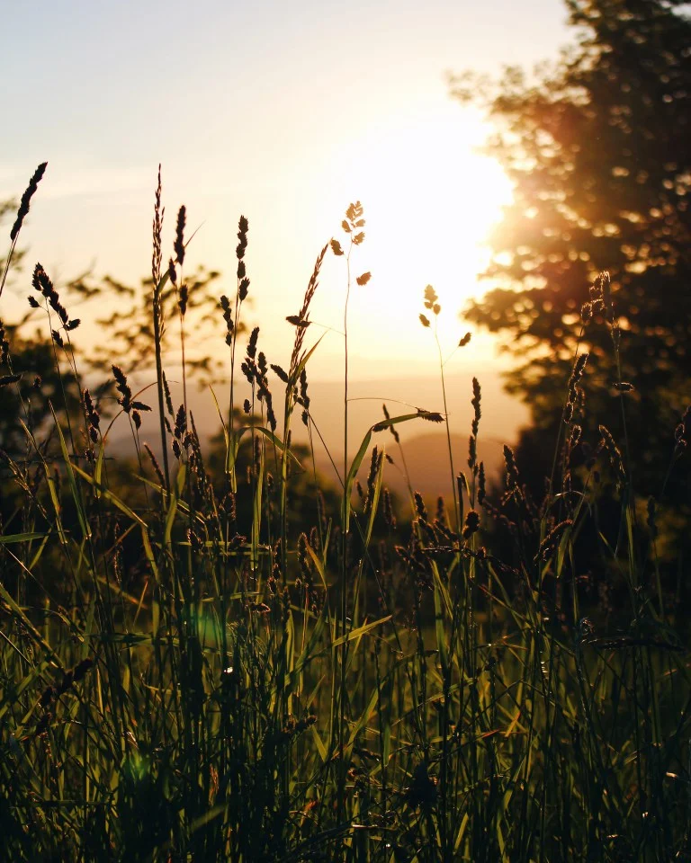 Shenandoah-Sunsets.jpg