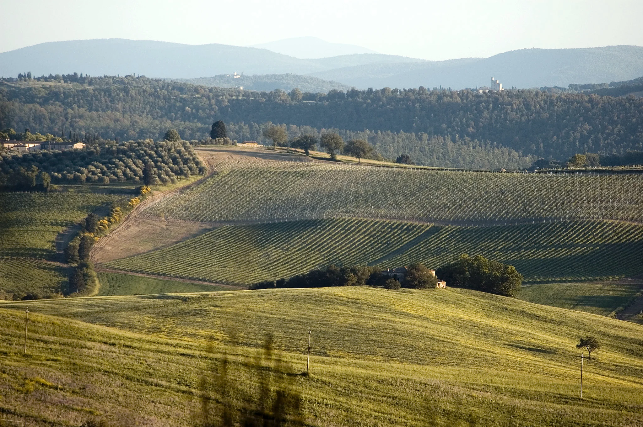 Toscana_maj06_109.jpg