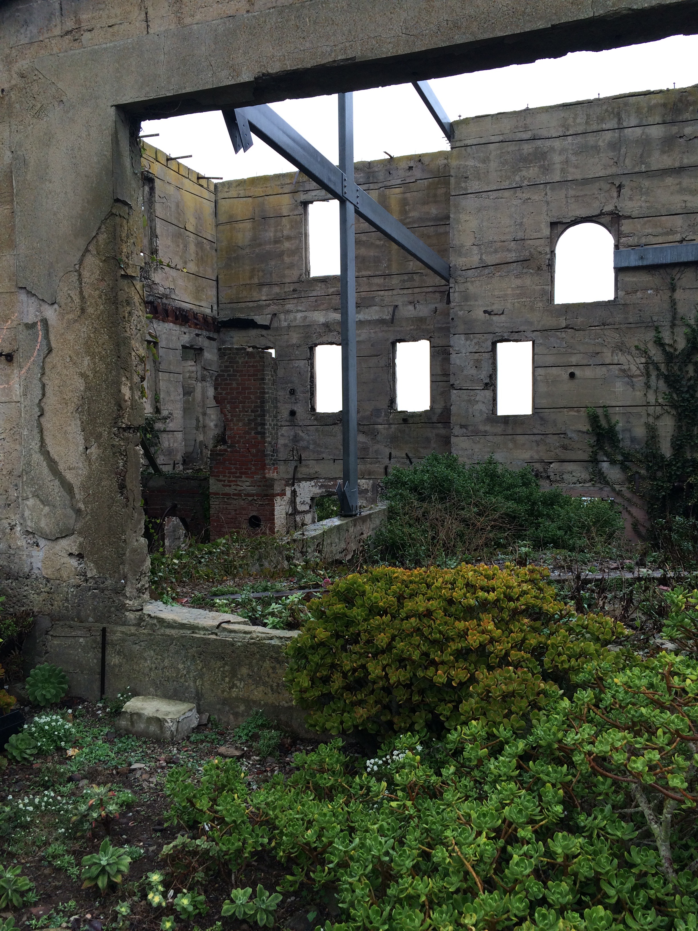 Natural beauty growing up around the ruins of the warden's house at Alcatraz. Has nothing to do with expense tracking, but it sure beats a picture of a spreadsheet don't you think?