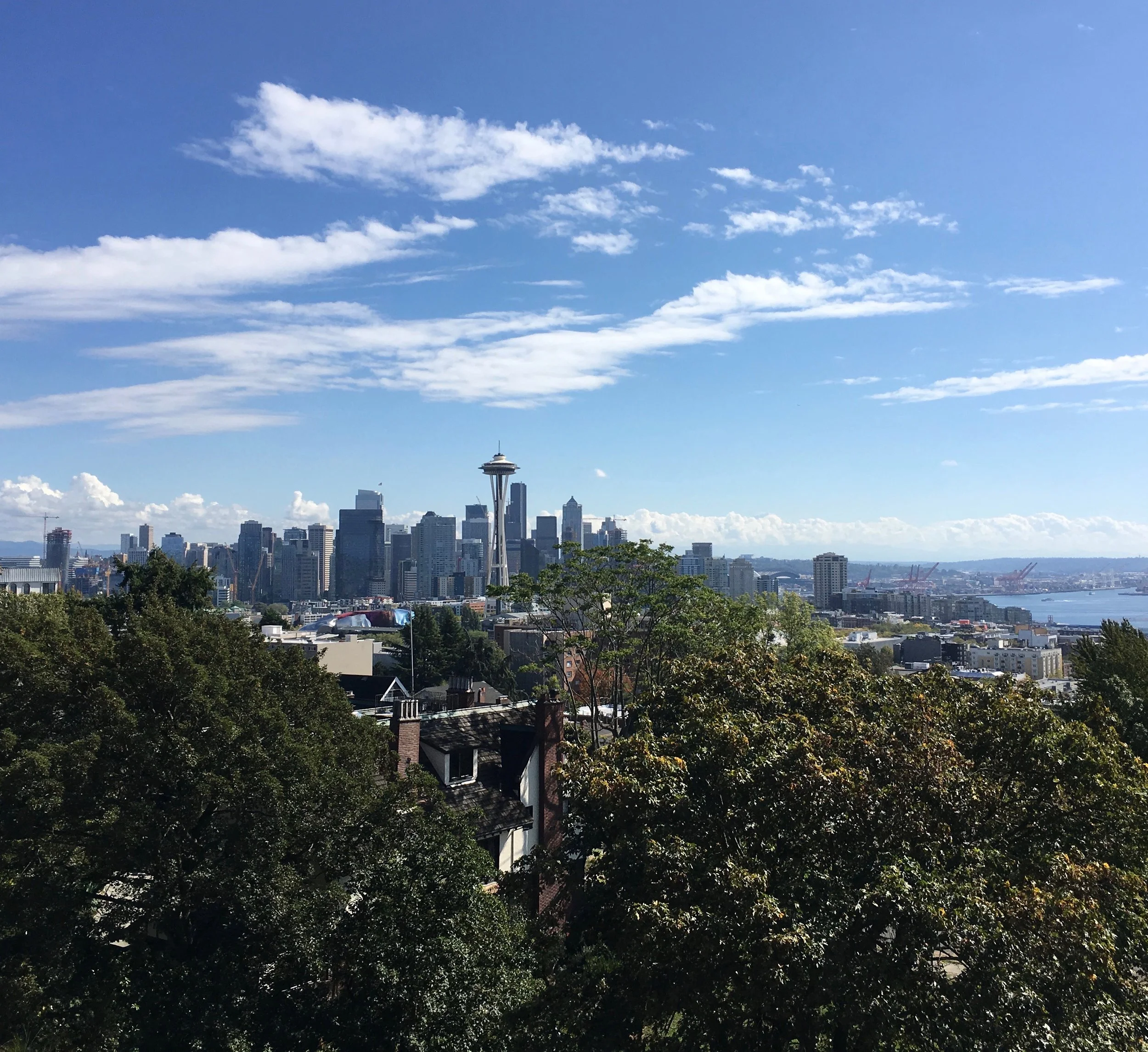View of Seattle from Kerry Park.