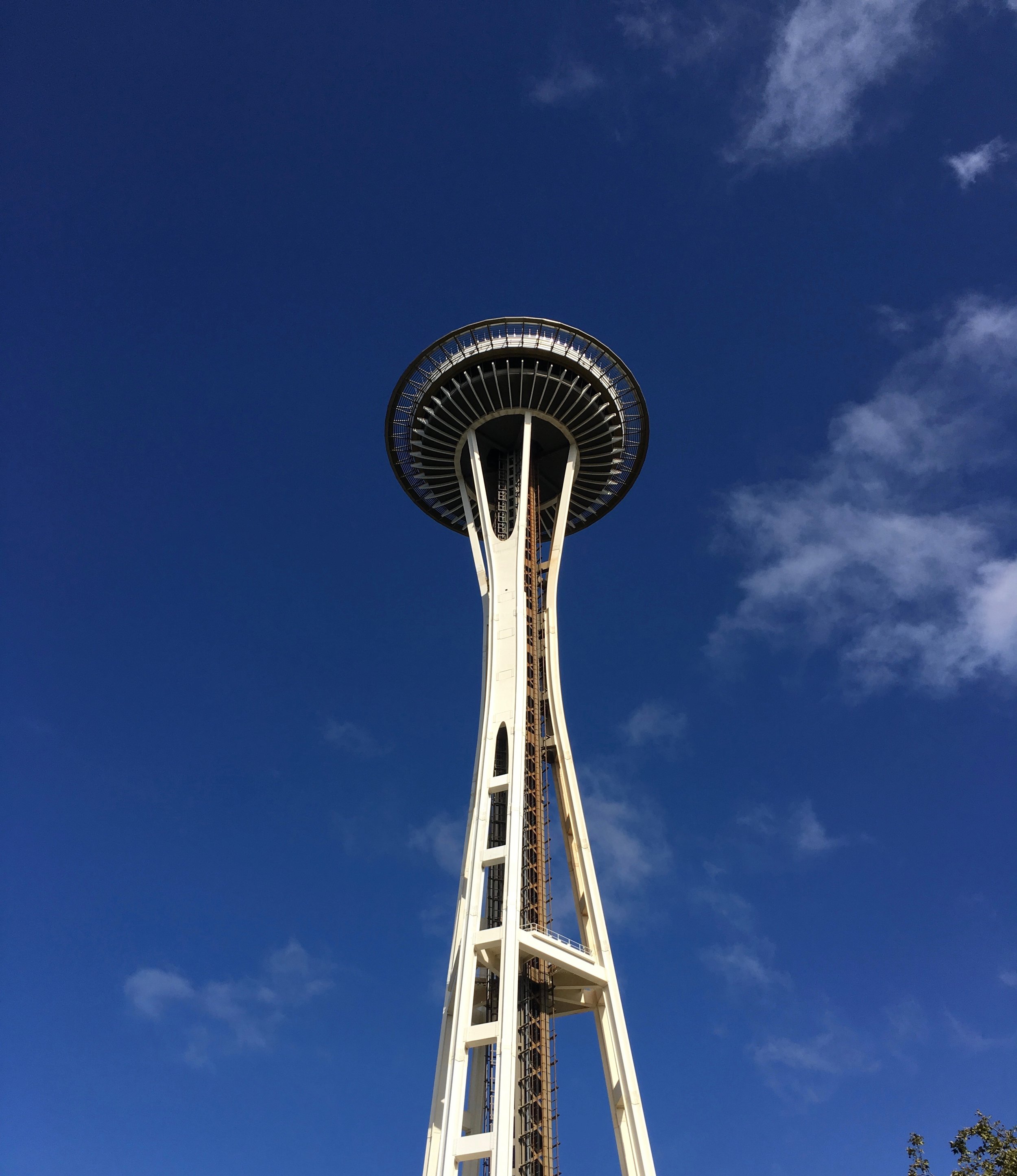 IMG_4342.jpg