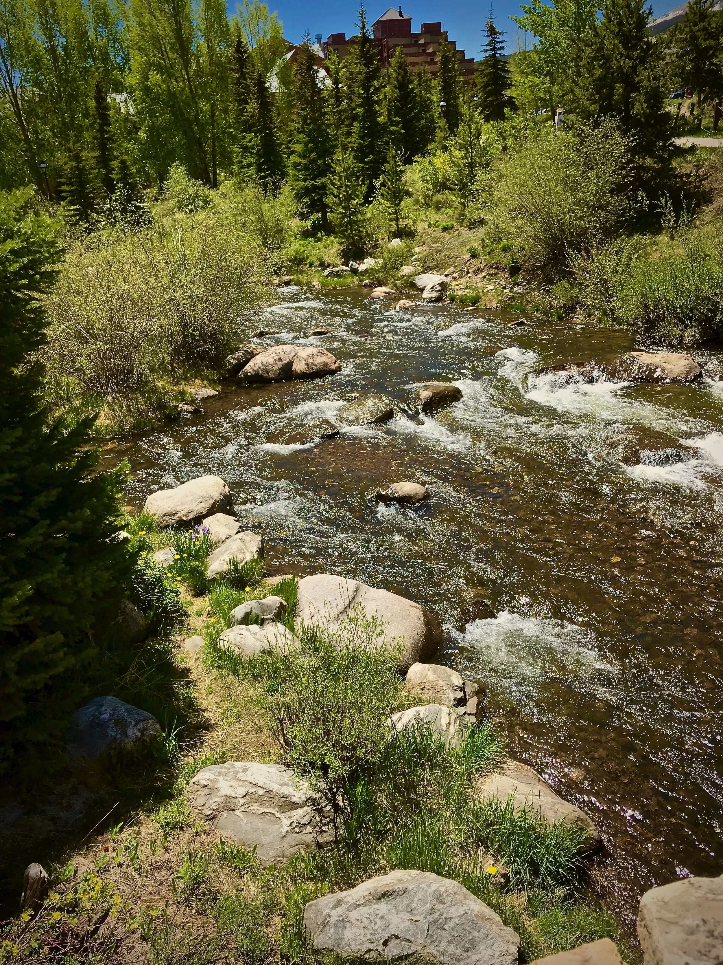 IMG_7880.jpg