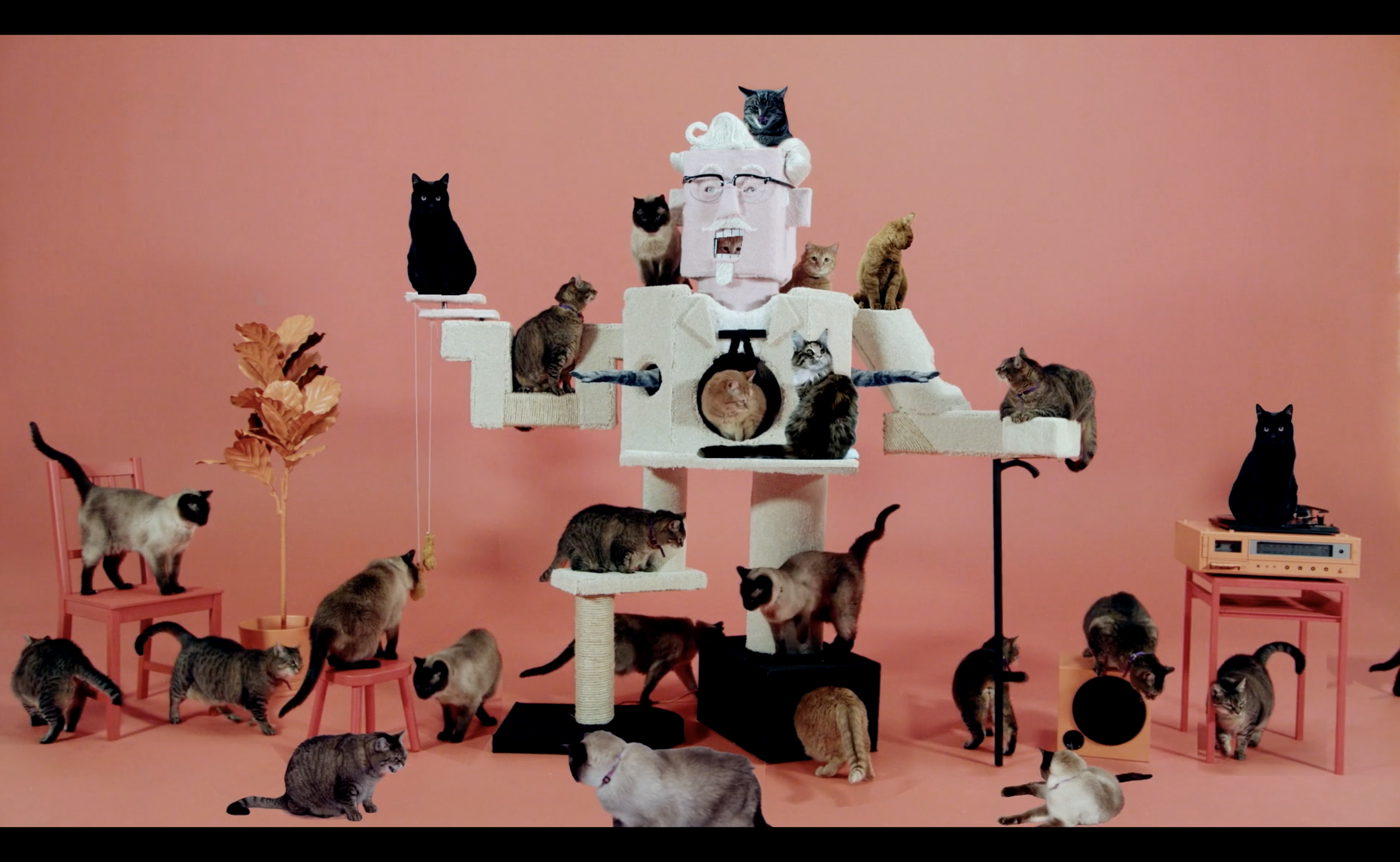 KFC - Colonel Cat Scratcher