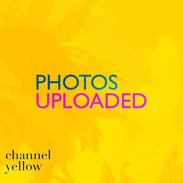 photos are in 🌻✨ // click the link in bio to check out some of the photos from #channelyellow! 
__

we&rsquo;re trying to stay here in this yellow vibe as long as we can but we feel fall coming in with its wild card, ready to change the color on us.