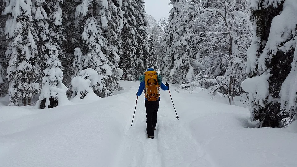 hiking-3032714_960_720.jpg