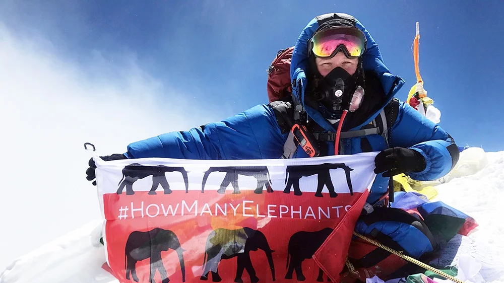 How Many Elephants.jpg