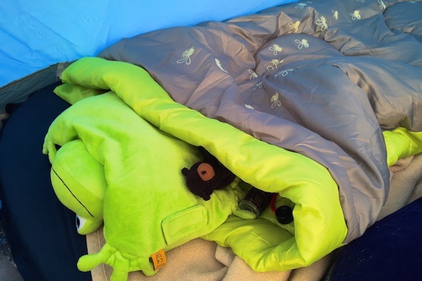 How+to+camp+with+kids+5.jpg