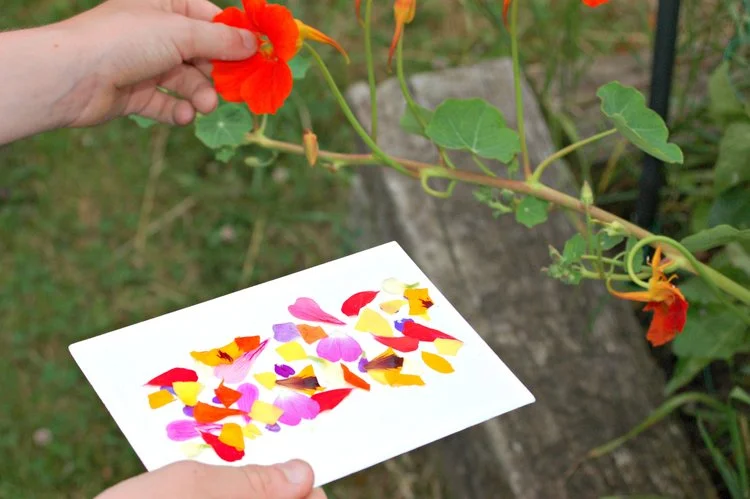 Make sticky nature cards