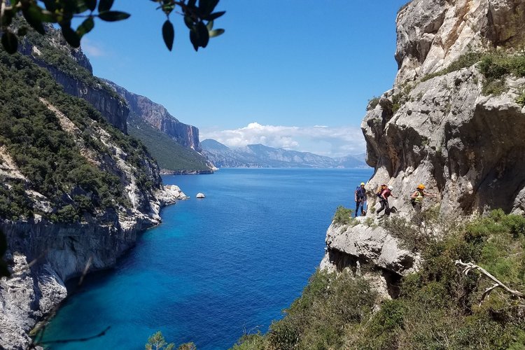 Selvaggio Blu