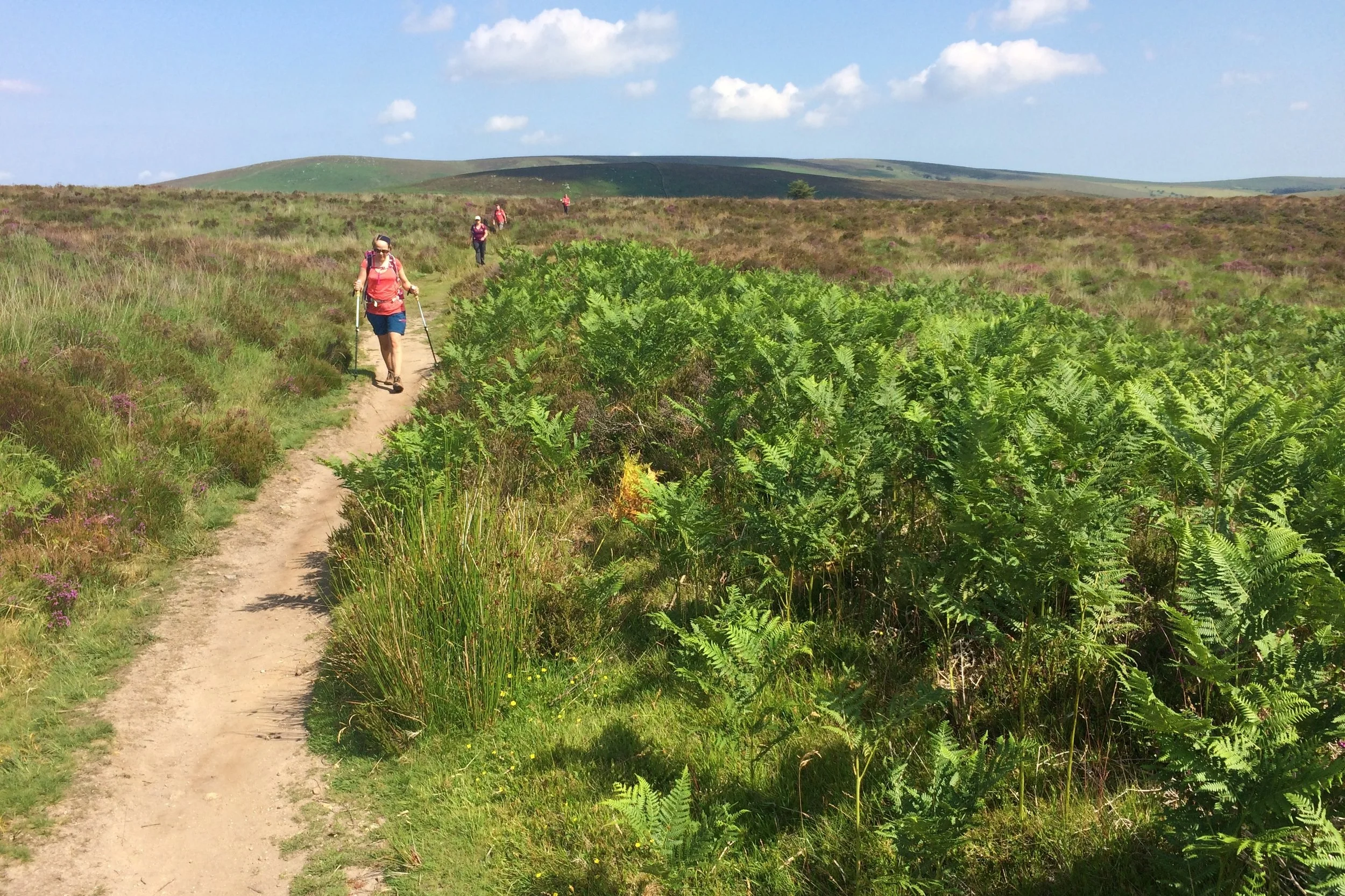 Walk Devon Coast to Coast.jpg