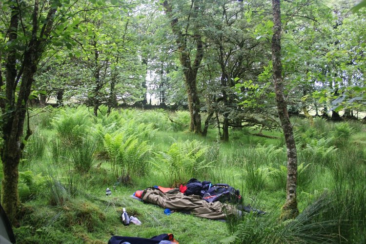 Camping Near London Explorers Connect