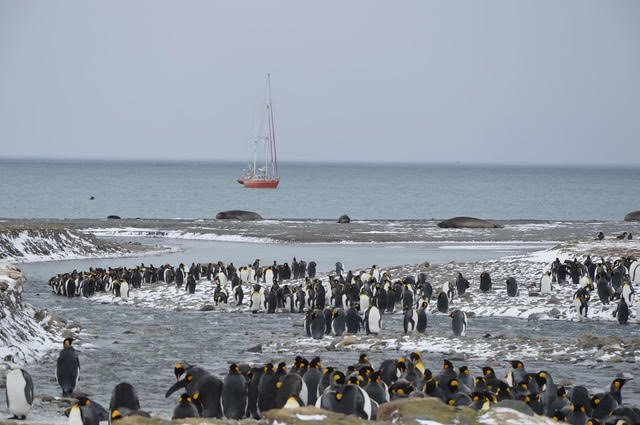 Sailing SOUTH 2026 – Sailing in the footsteps of Shackleton in the Southern Ocean 