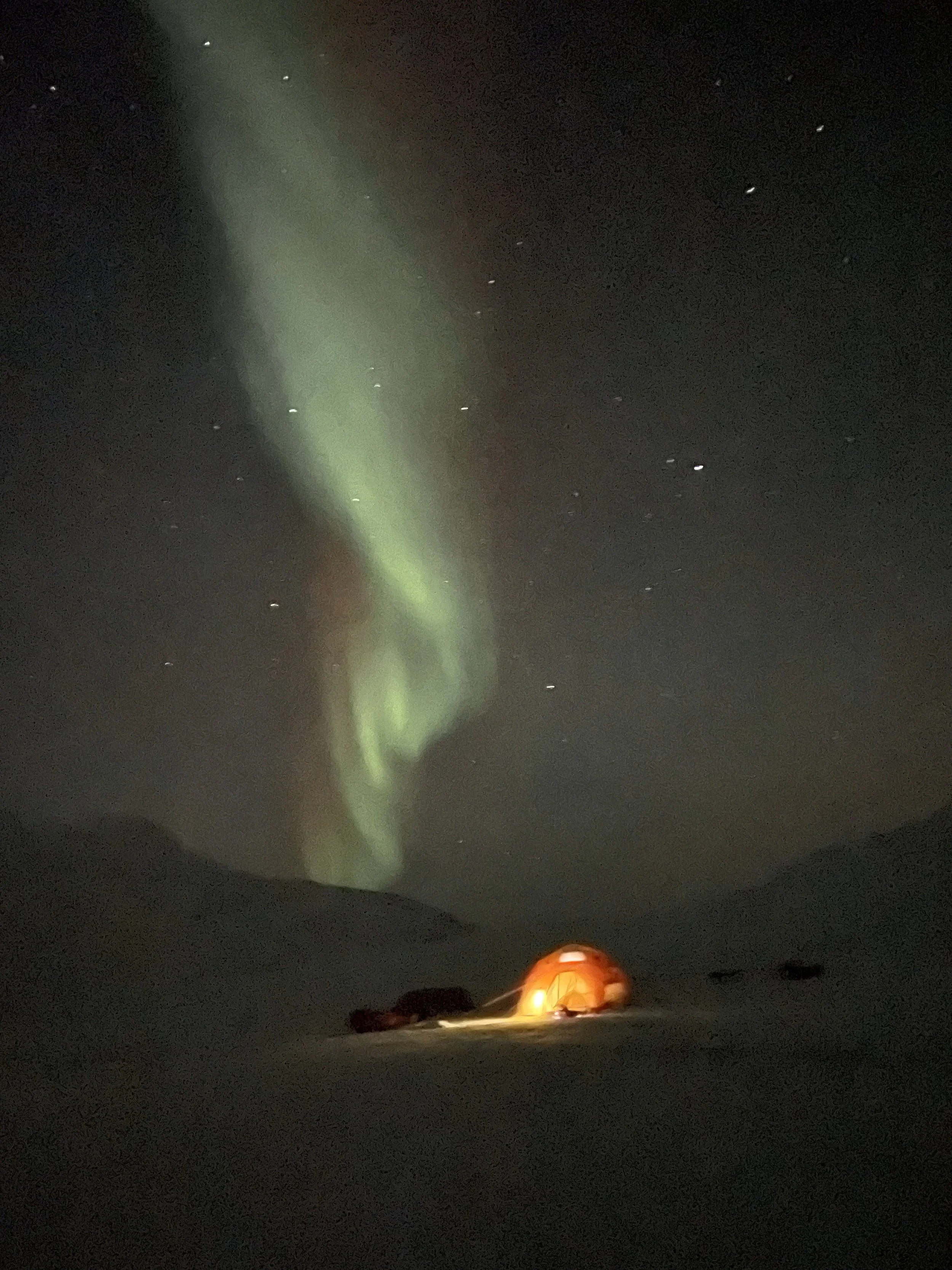 Svalbard Expedition