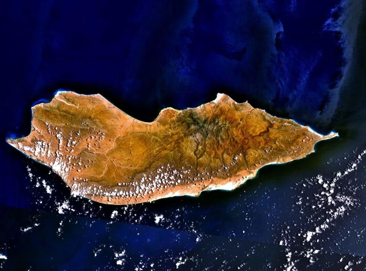 Teammates needed to map Socotra's coast