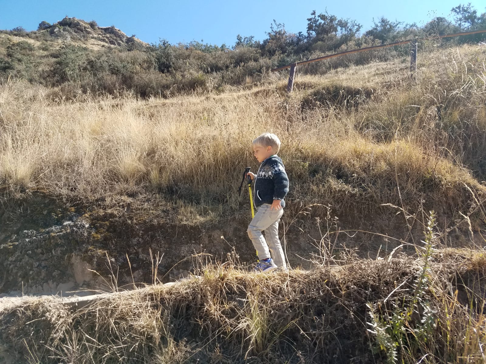 Hiking sticks used by all ages