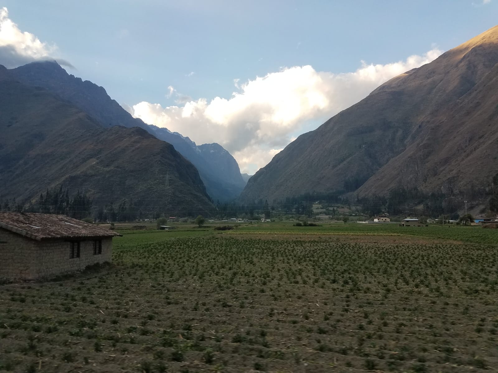 It was a beautiful train ride. Corn is starting to come up.