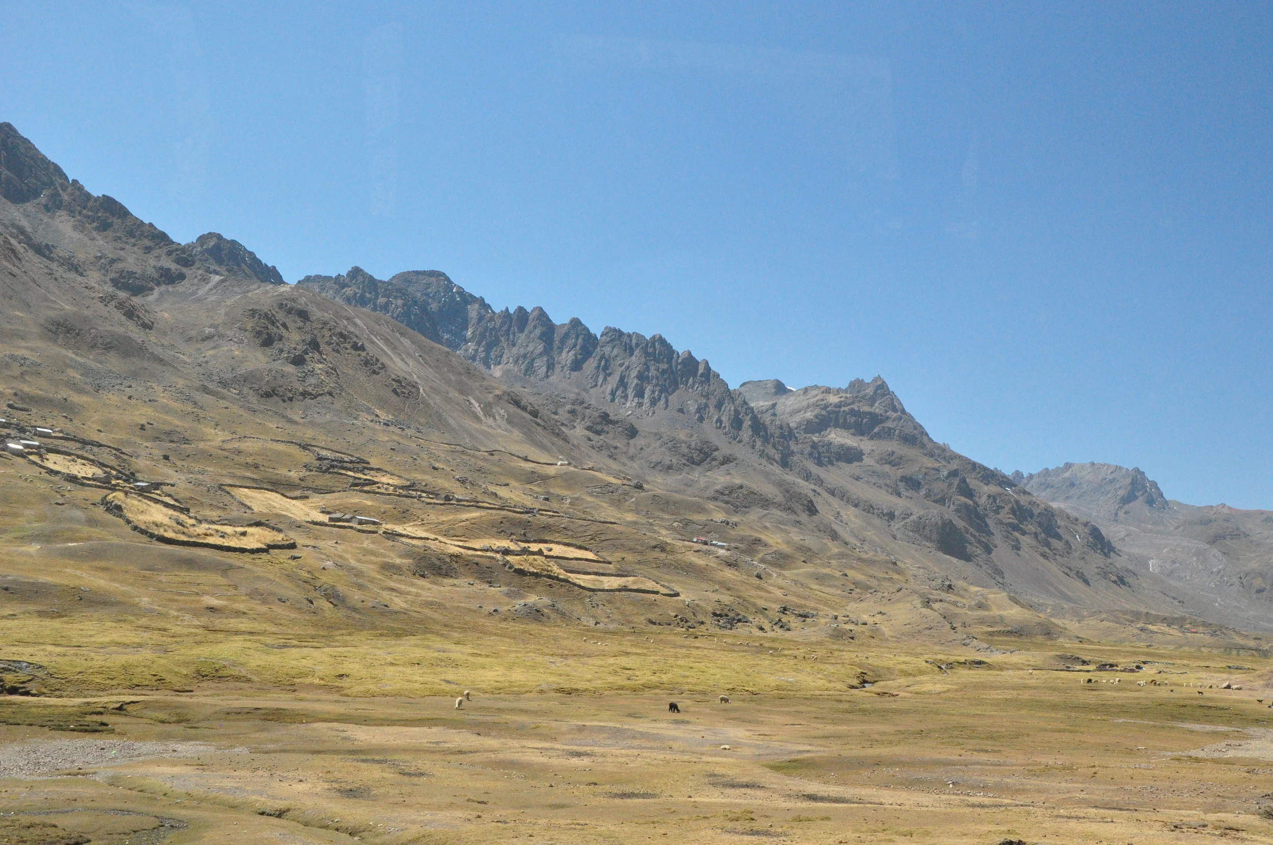 Driving down the mountain.  The fenced areas are for alpacas.