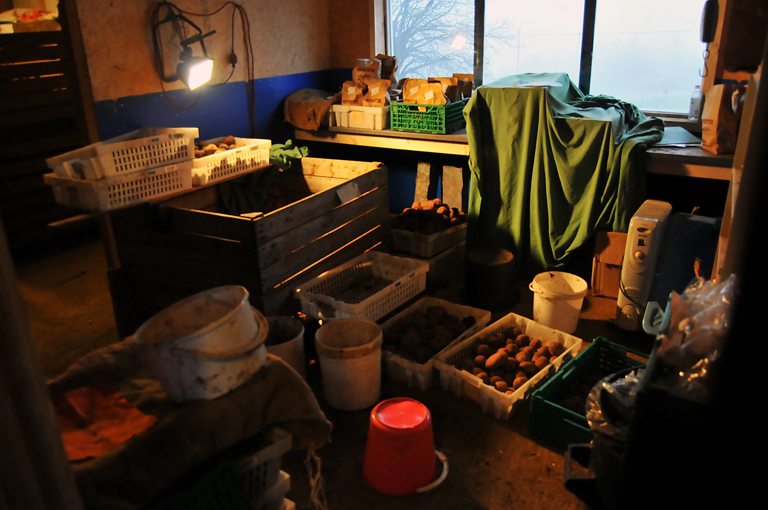 DSC_8665 copy.jpg