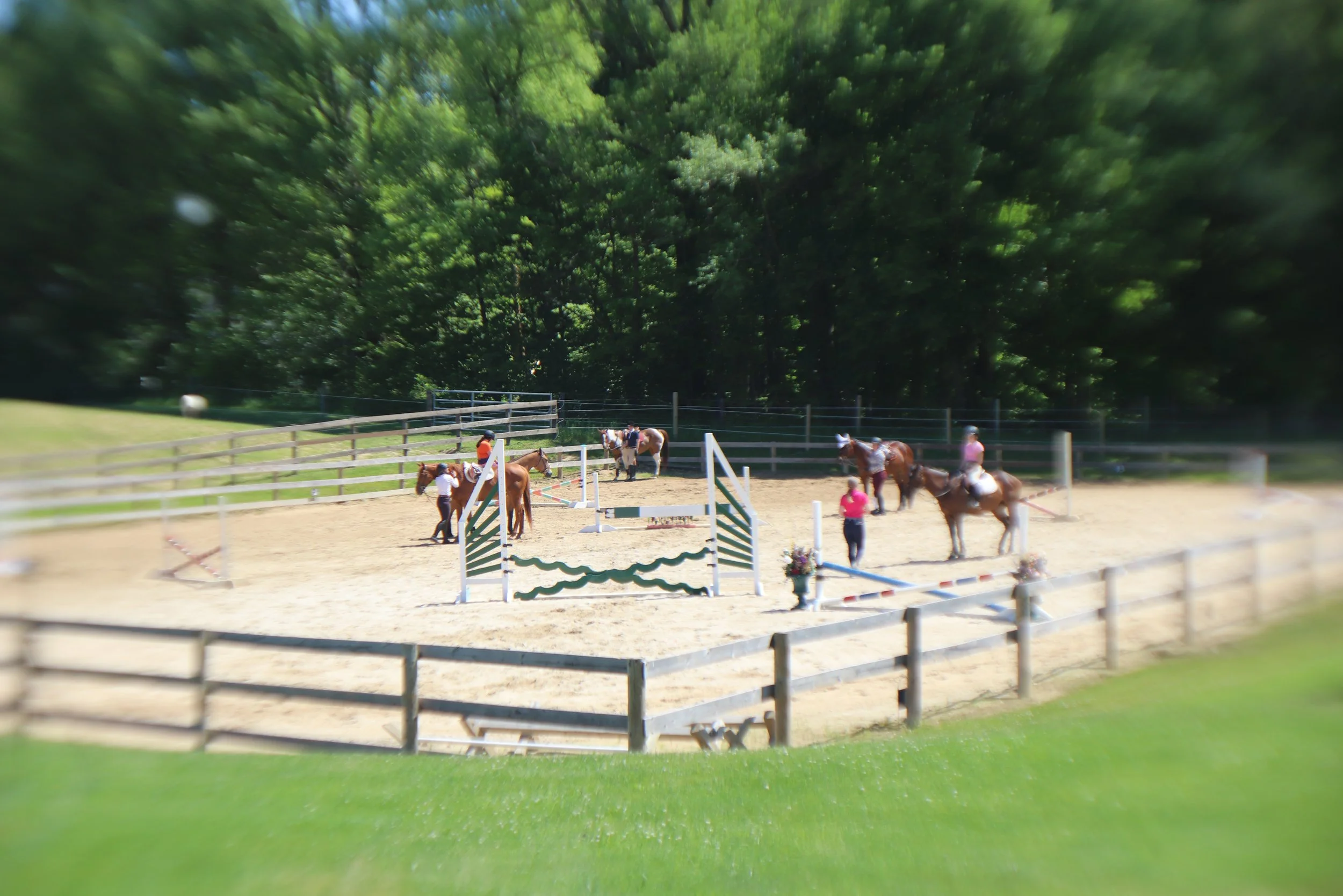 outdoor arena.JPG