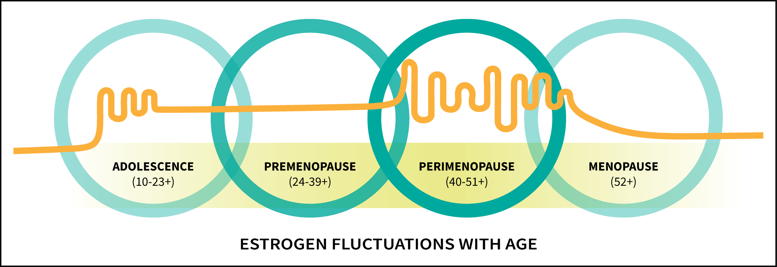 Weight Gain in Menopause WTF? — Doctor Kate Kass