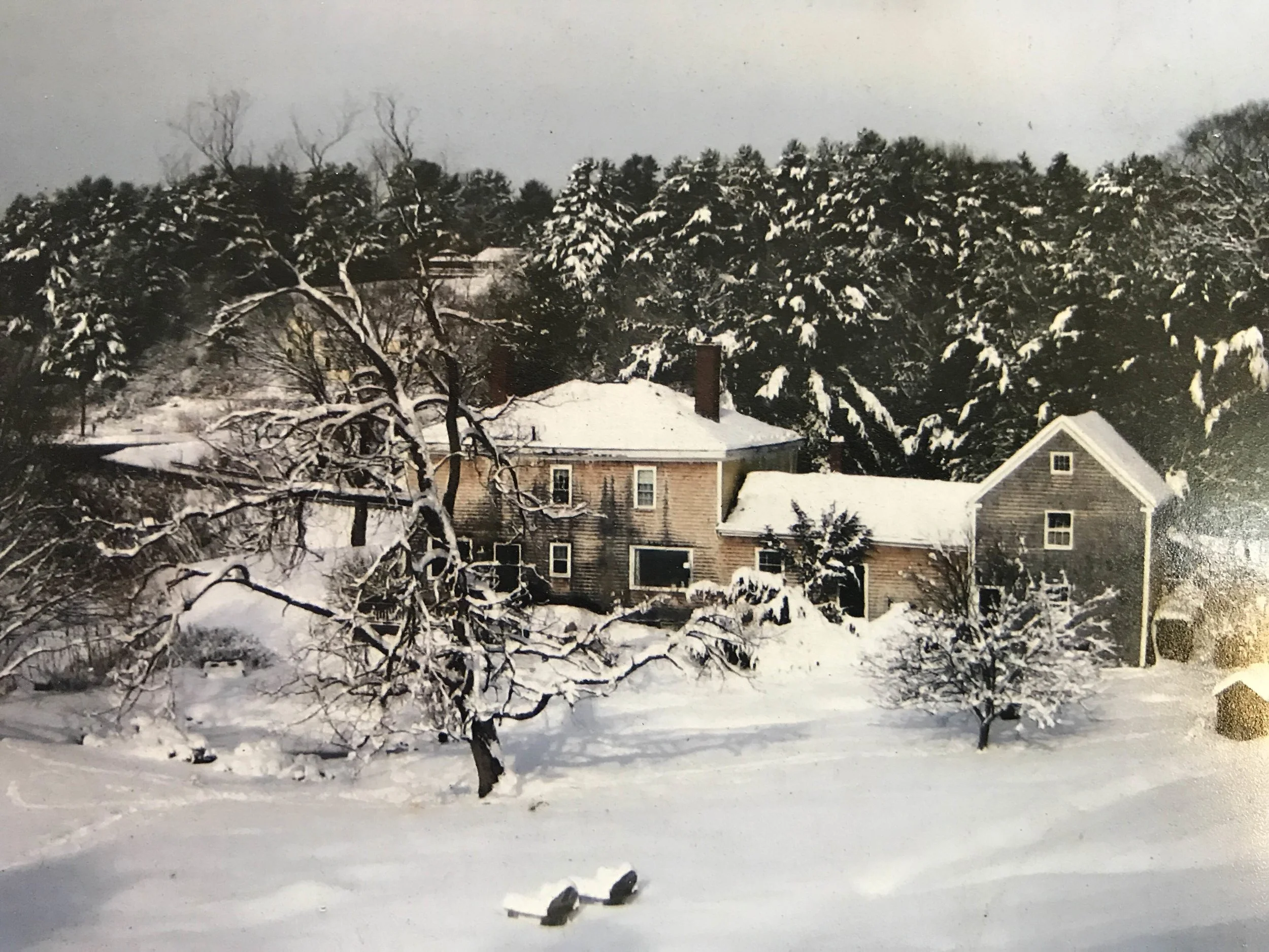  Reference photo for Maine Memory’s  