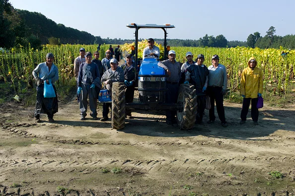 Migrant workers in Eastern North Carolina. Courtesy: Andrew Lichtenstein (Corbin News)
