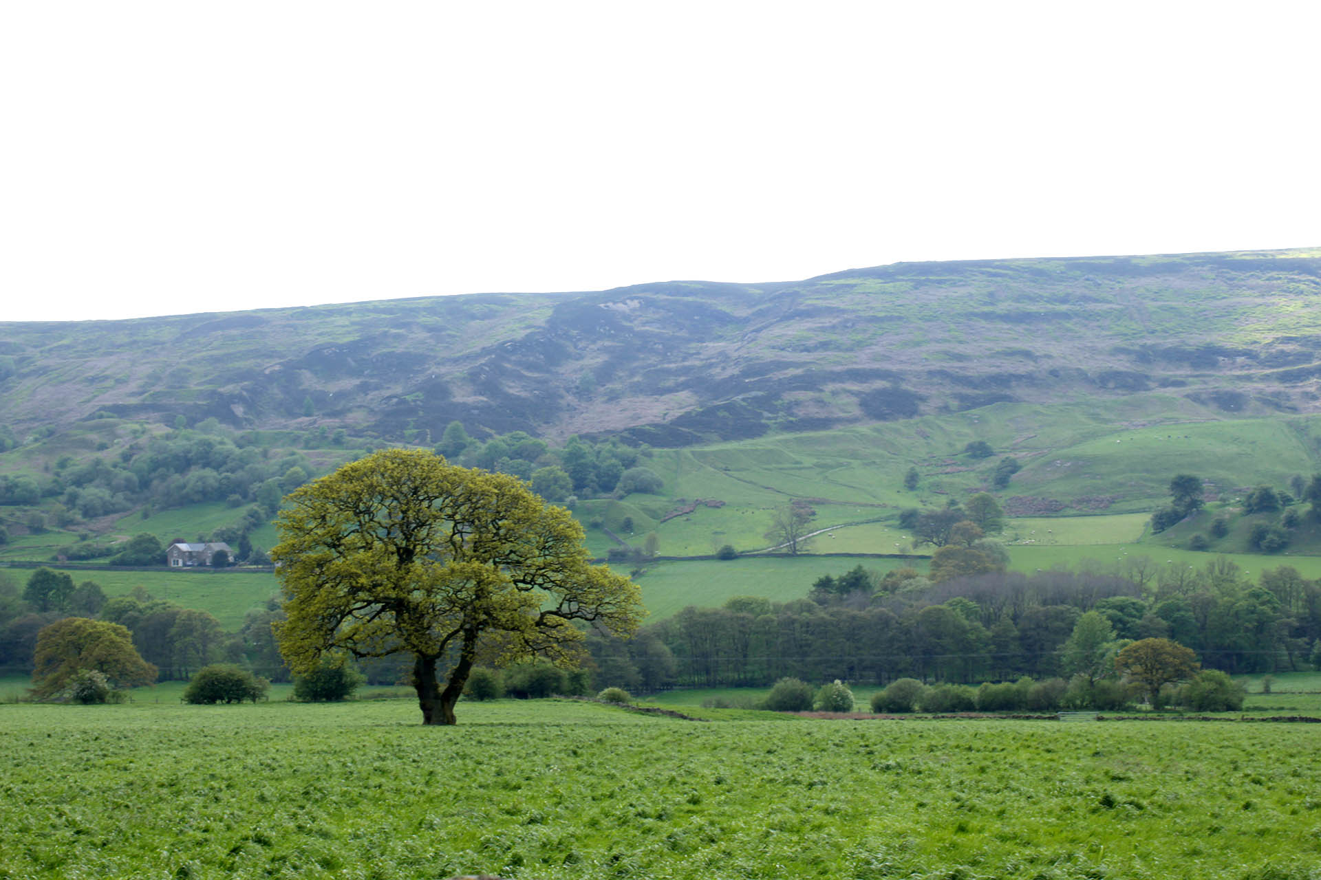 near scotland